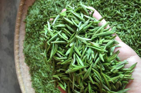 采茶的方法與步驟，如何正確采摘茶葉？