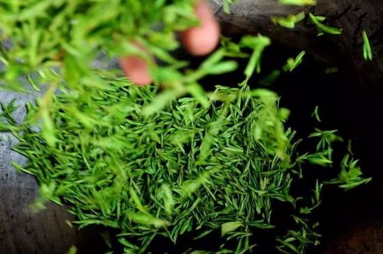 龍井茶炒茶葉怎么炒出好茶色，茶葉怎樣做出來最綠？