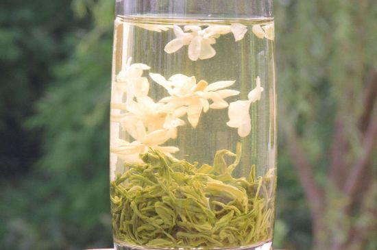 茉莉龍珠可以和什么一起泡茶，茉莉龍珠茶能加蜂蜜嗎？