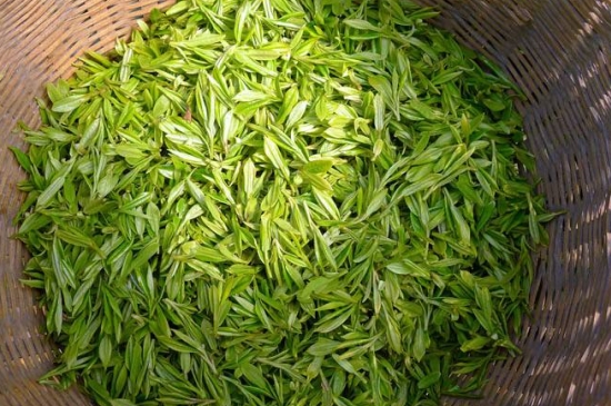 烏牛早和龍井的區(qū)別圖片，龍井43號和烏牛早茶的對比