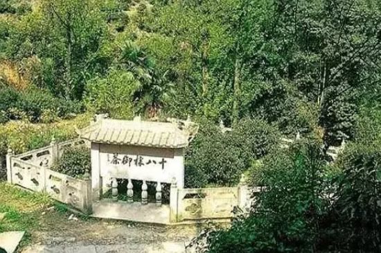 母樹大紅袍給誰喝了，為什么母樹大紅袍叫三棵六株？