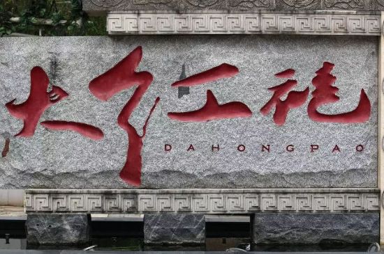 母樹大紅袍給誰喝了，為什么母樹大紅袍叫三棵六株？