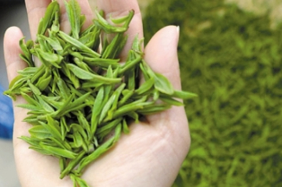 潮汕炒茶屬于什么茶，潮汕炒茶是綠茶嗎？