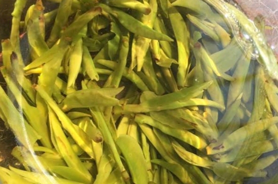 龍井是明前的好還是雨前的好，明前茶和雨前茶哪個(gè)好喝？