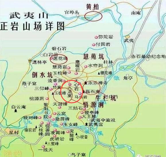 母樹大紅袍給誰喝了，為什么母樹大紅袍叫三棵六株？