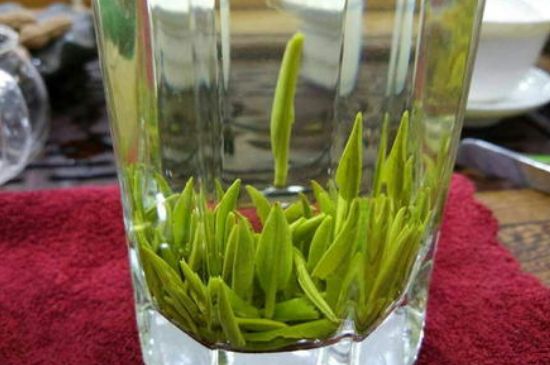 雀舌有一股青草味，雀舌為什么有青草味？