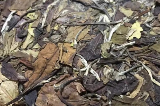 老白茶上火還是去火？夏季喝煮的老白茶會容易上火！