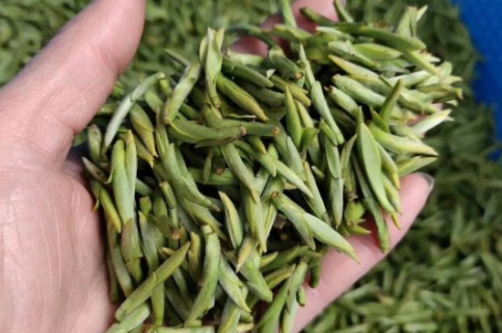 龍井茶好壞的鑒別圖片，如何區(qū)別龍井茶的好壞？