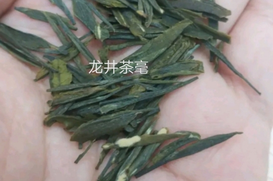 西湖龍井茶毫和發(fā)霉區(qū)別圖片，長霉的龍井茶葉會是什么樣？