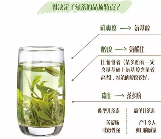 什么綠茶口味重口感濃郁，口味比較重的綠茶都有那些？