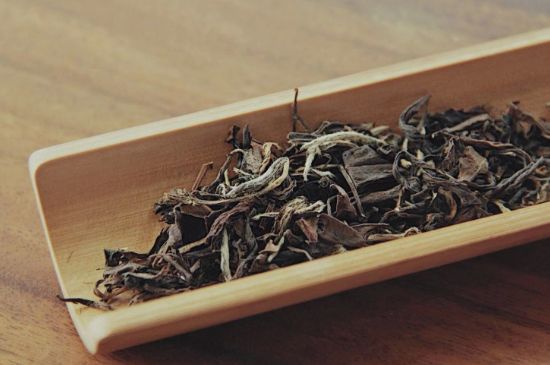 怎么撬老白茶茶餅不容易碎，福鼎白茶如何撬茶方法