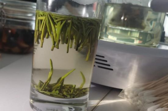 金壇雀舌算不算好茶，金壇雀舌屬于什么檔次茶葉？