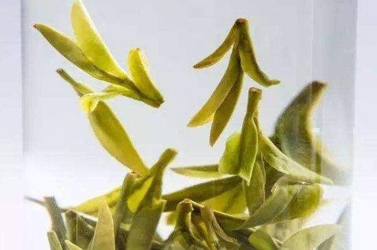 烏牛早和龍井的區(qū)別圖片，龍井43號和烏牛早茶的對比