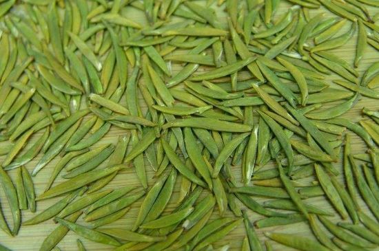 竹葉青和毛尖的區(qū)別，毛尖和竹葉青怎么分辨？