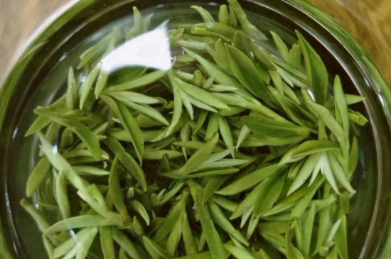什么綠茶茶葉唇齒留香，哪個(gè)品種綠茶香氣好？
