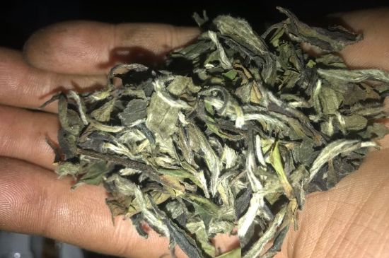 7年壽眉和2年白牡丹哪個(gè)好，老白茶壽眉與白牡丹的口感區(qū)別