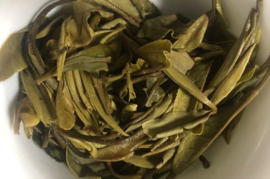 三年白茶賽砒霜，這是真的嗎？