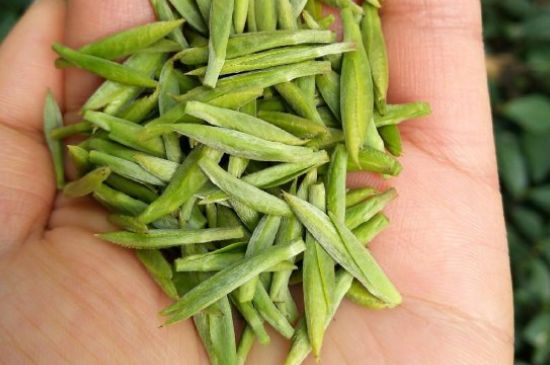 什么綠茶味道濃香，那個綠茶比較濃香？
