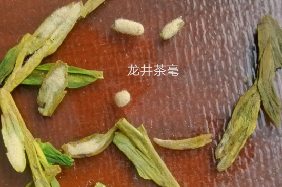西湖龍井茶毫和發(fā)霉區(qū)別圖片，長霉的龍井茶葉會是什么樣？