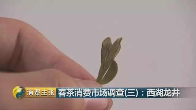 龍井群體種和43號的區(qū)別圖片，龍井43和群體種哪個好喝？