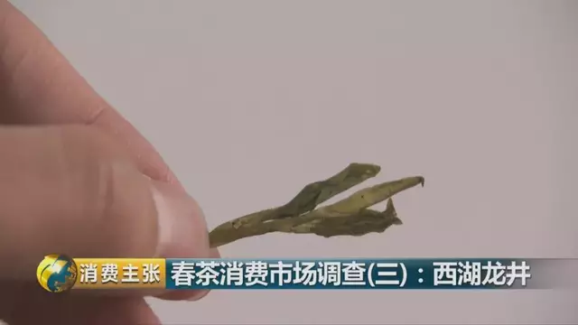 龍井群體種和43號的區(qū)別圖片，龍井43和群體種哪個好喝？