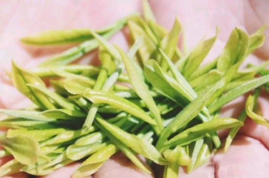 龍井是明前的好還是雨前的好，明前茶和雨前茶哪個(gè)好喝？