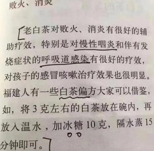老白茶上火還是去火？夏季喝煮的老白茶會容易上火！