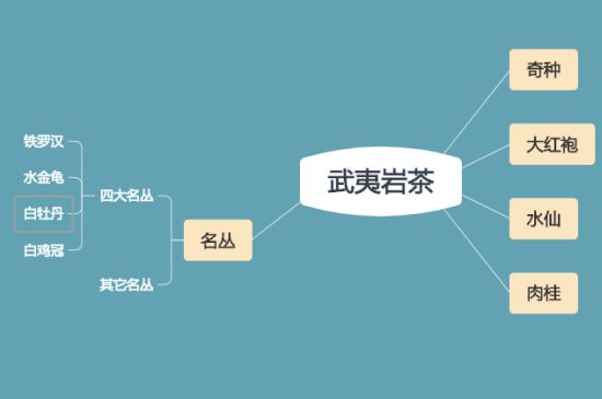 武夷巖茶品種大全，巖茶有幾種？