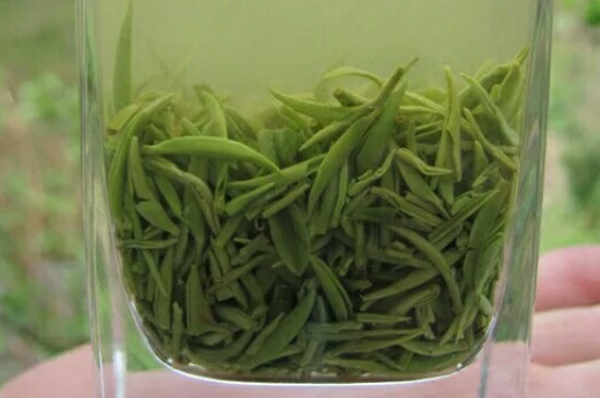 什么綠茶茶葉唇齒留香，哪個(gè)品種綠茶香氣好？
