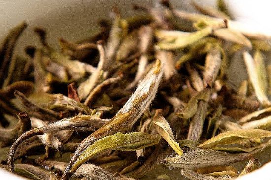荒野銀針市場(chǎng)價(jià)多少，真正的荒野白毫銀針多少錢？