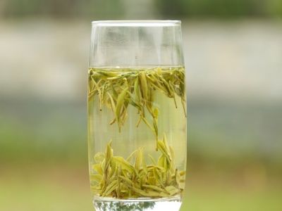霍山黃芽算是好茶嗎，霍山黃芽屬于什么茶？