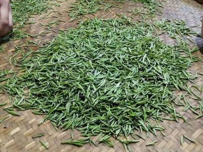 金駿眉幾年可以算陳茶，金駿眉新茶好還是老茶
