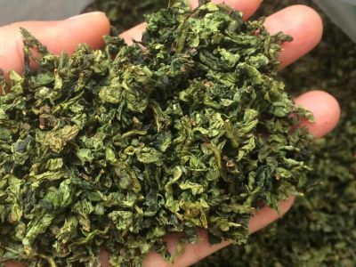 鐵觀音毛茶茶梗可以泡水喝嗎，鐵觀音帶梗是不是好茶？