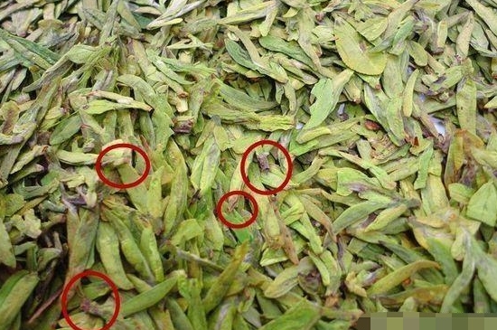 烏牛早和龍井的區(qū)別圖片，龍井43號和烏牛早茶的對比