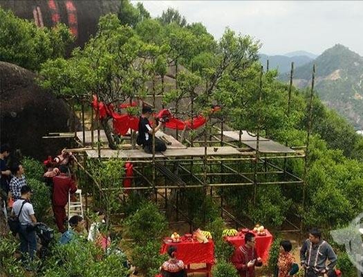 宋種一號(hào)價(jià)值為什么高，鳳凰單樅宋種1號(hào)價(jià)格與產(chǎn)量多少？