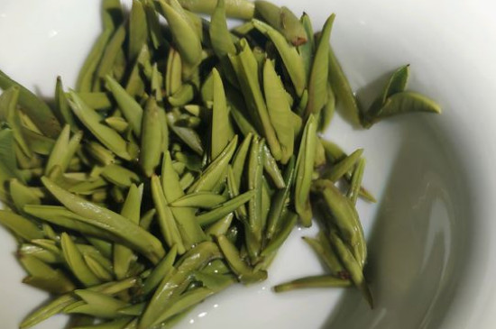 竹葉青茶怎么泡，竹葉青如何沖泡