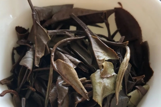 老白茶上火還是去火？夏季喝煮的老白茶會容易上火！