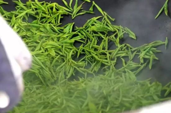 碧螺春為什么泡水渾濁，碧螺春茶葉泡水感覺很臟是混濁的