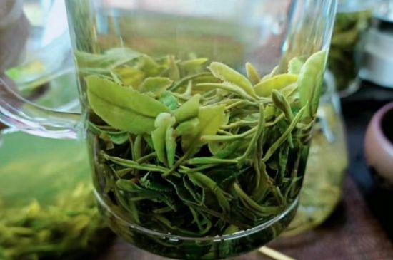 什么綠茶味道濃香，那個綠茶比較濃香？