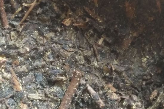 黑茶茯茶保存五大忌，茯茶收藏的注意事項
