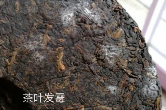 西湖龍井茶毫和發(fā)霉區(qū)別圖片，長霉的龍井茶葉會是什么樣？
